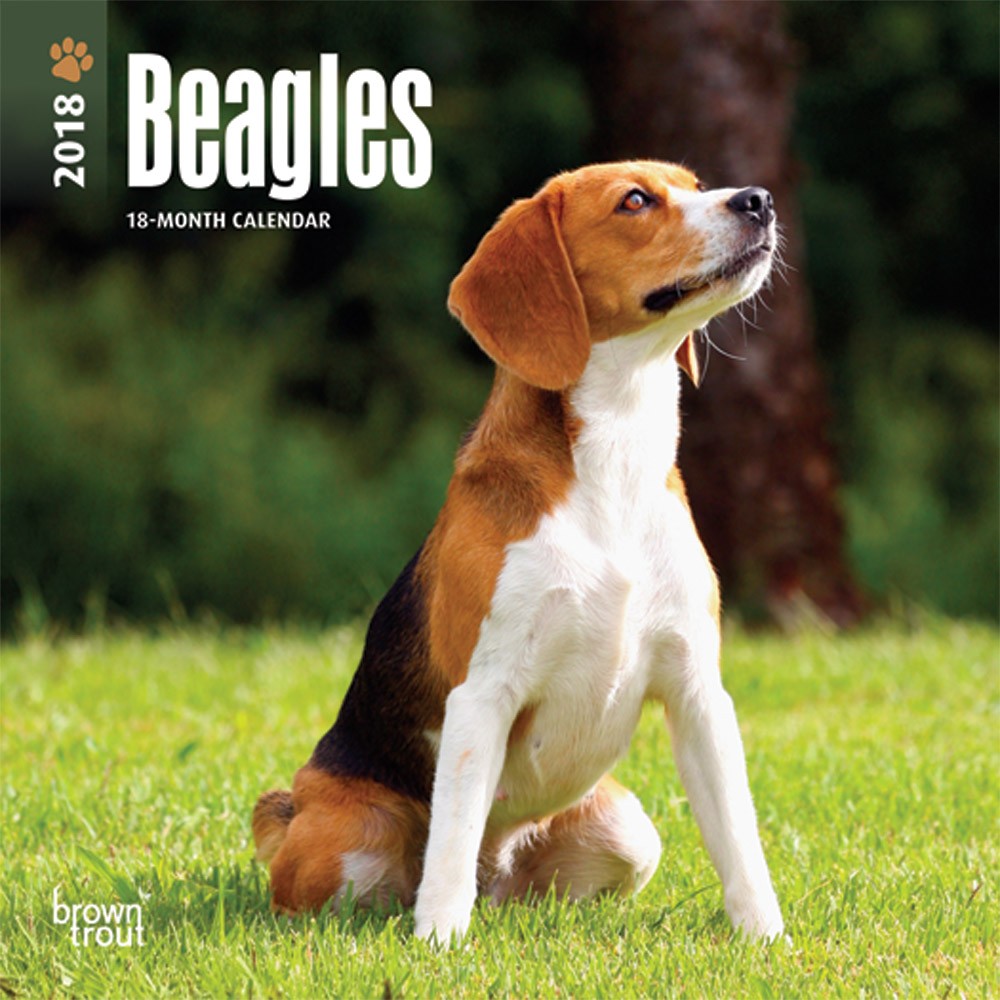 Beagles DogDays 2023 Calendar and Puzzle App for iPhone, iPad