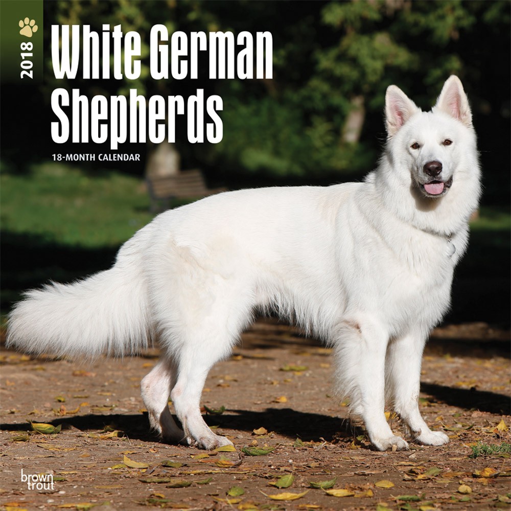 White German Shepherds DogDays 2023 Calendar and Puzzle App for