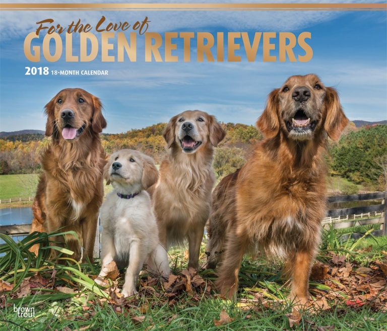 For The Love Of Golden Retrievers DogDays 2023 Calendar and Puzzle