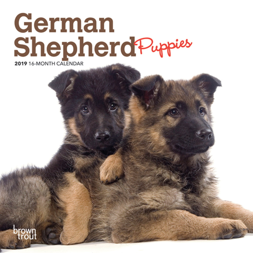 German Shepherd Puppies 2019 Mini Wall Calendar DogDays 2023 Calendar