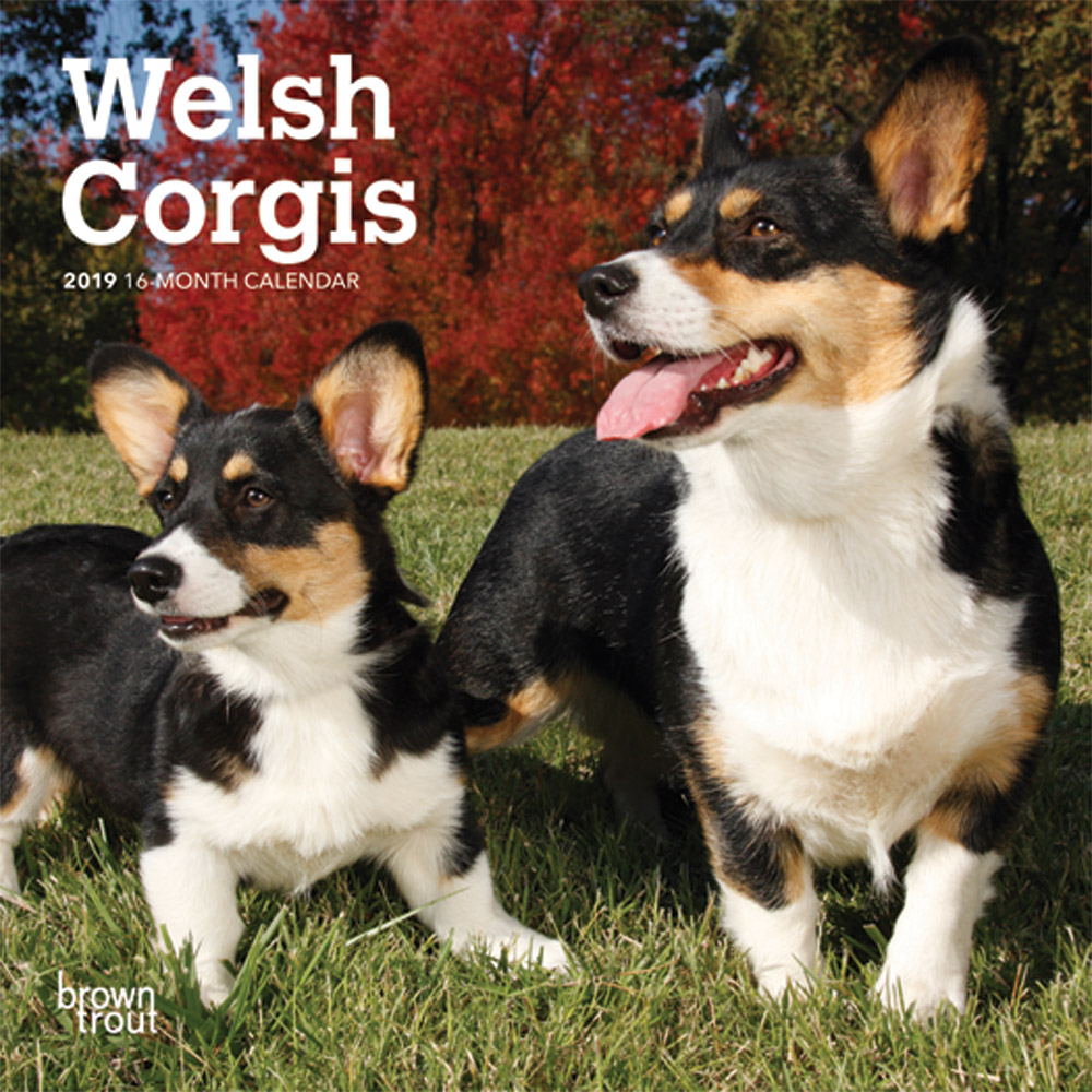 Welsh Corgis 2019 Mini Wall Calendar | DogDays 2023 Calendar and Puzzle ...