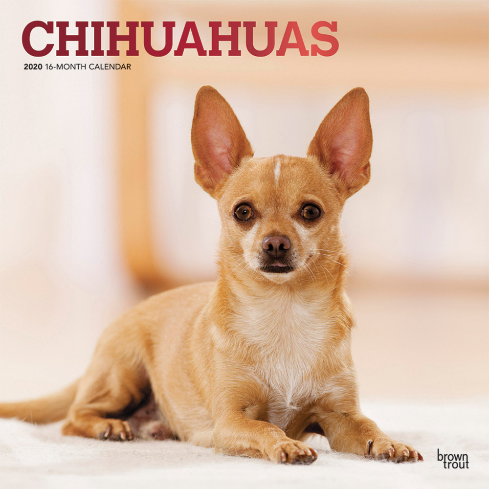 Chihuahuas Schedule 2022