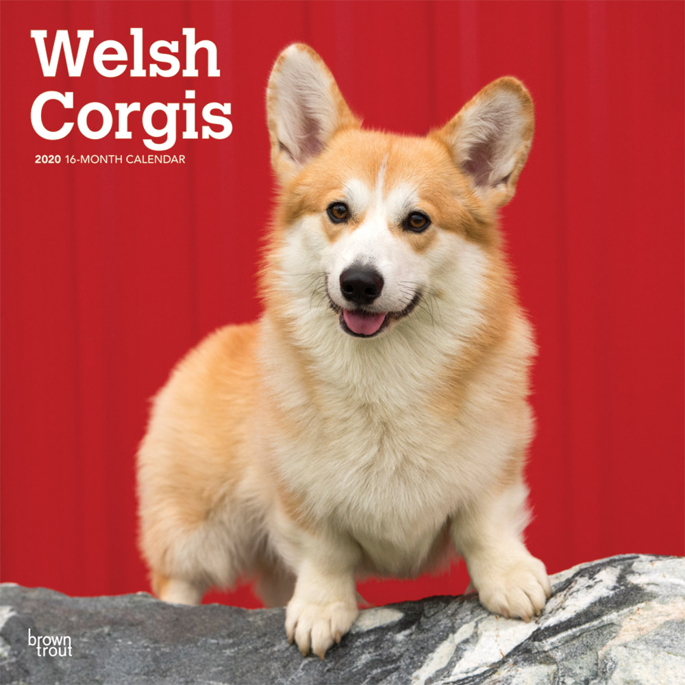 Welsh 2020 Square Wall Calendar DogDays 2023 Calendar and